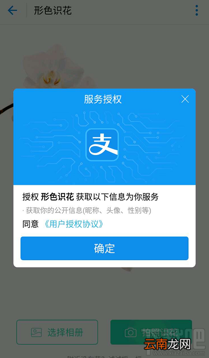 支付宝扫花识花功能怎么玩?