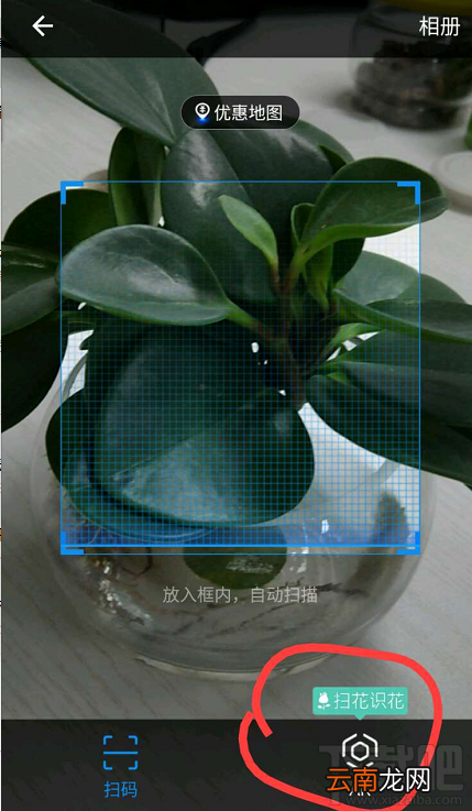 支付宝扫花识花功能怎么玩?