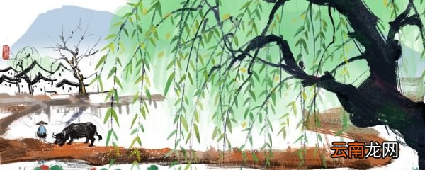 已带斜阳又带蝉描写的植物是 已带斜阳又带蝉描写的植物是什么