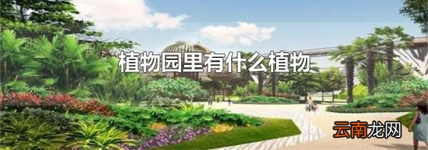 植物园里有什么植物