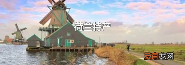 荷兰特产
