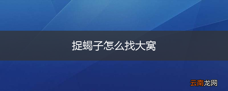 捉蝎子怎么找大窝