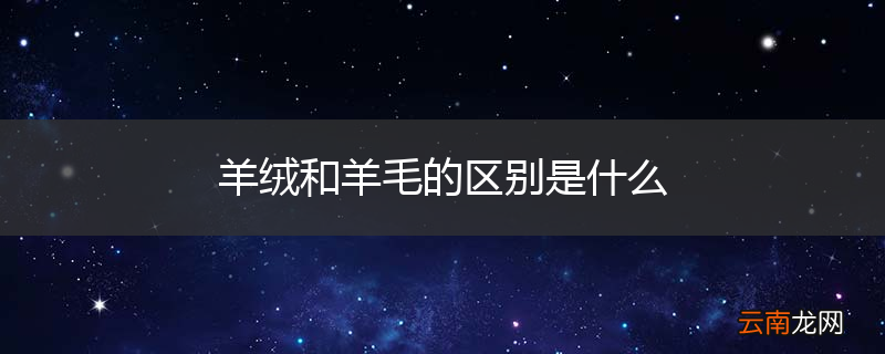 羊绒和羊毛的区别是什么