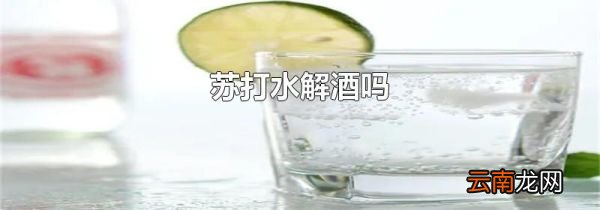 苏打水解酒吗