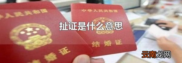 扯证是什么意思