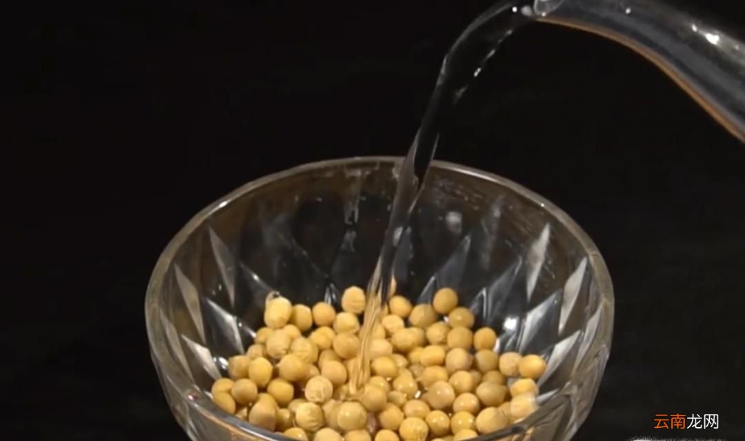 简单自发黄豆芽的方法
