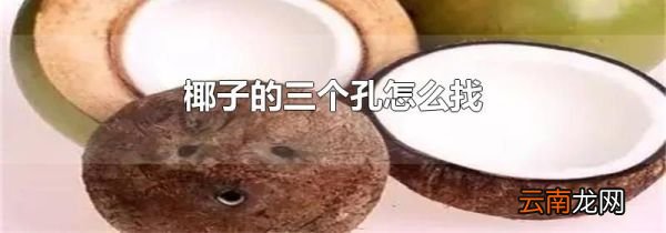 椰子的三个孔怎么找