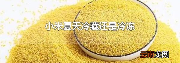 小米夏天冷藏还是冷冻