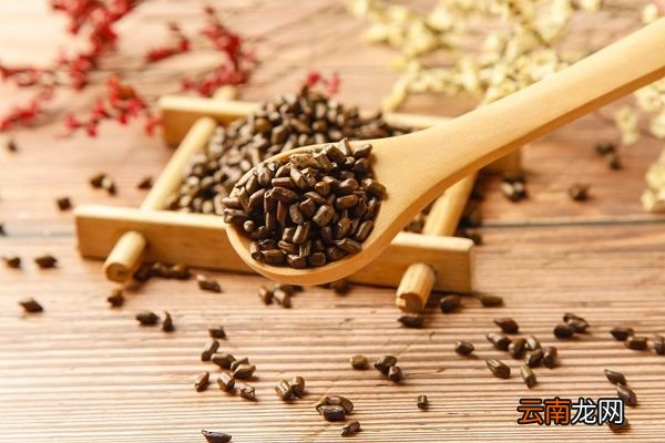 熟决明子的功效与作用 熟决明子的功效