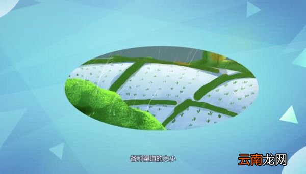 井田制的内容 井田制的特点是什么