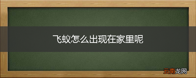 飞蚁怎么出现在家里呢