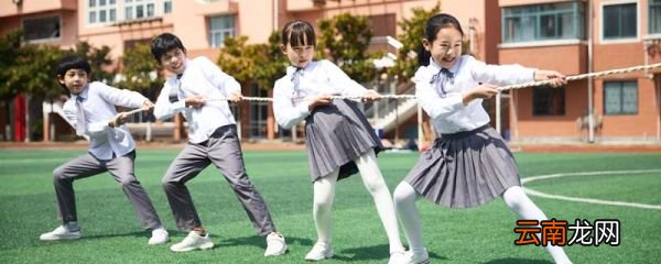 团结是什么排比句 团结是什么排比句比喻 团结是什么的排比句子