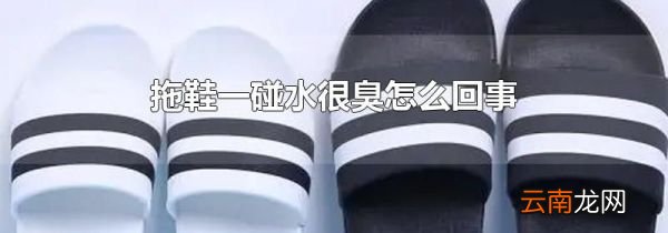 拖鞋一碰水很臭怎么回事
