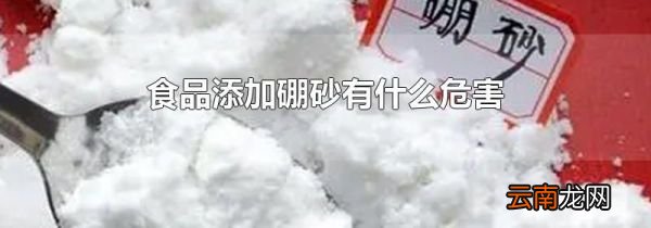 食品添加硼砂有什么危害