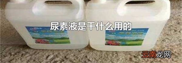 尿素液是干什么用的