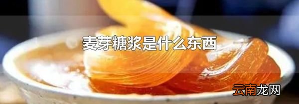 麦芽糖浆是什么东西