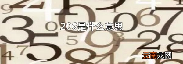 206是什么意思
