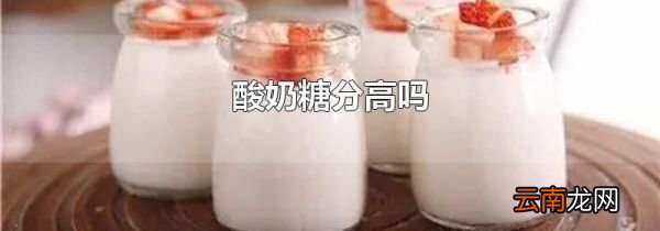 酸奶糖分高吗