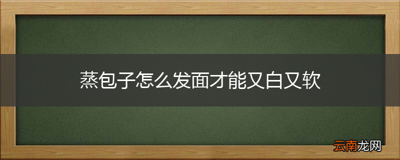蒸包子怎么发面才能又白又软