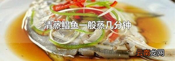 清蒸鲳鱼一般蒸几分钟