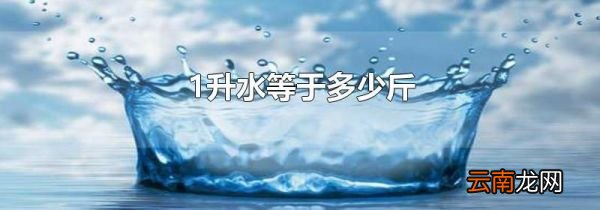 1升水等于多少斤