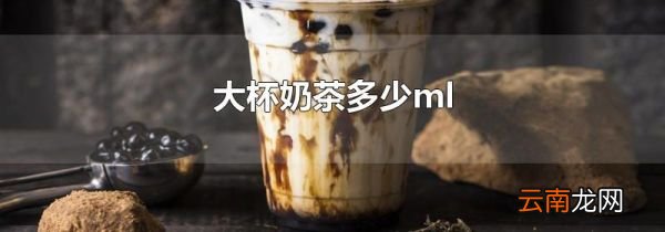 大杯奶茶多少ml