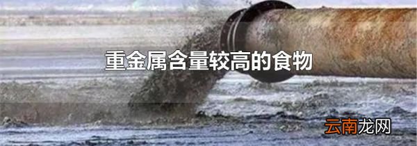重金属含量较高的食物