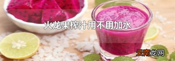 火龙果榨汁用不用加水