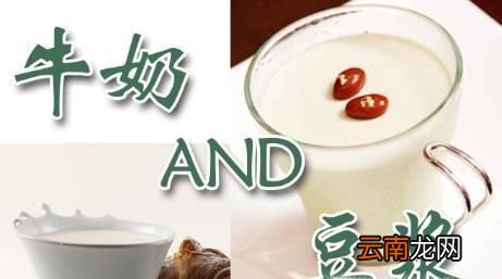 豆浆系列知识：豆浆不能替代牛奶