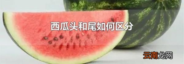 西瓜头和尾如何区分
