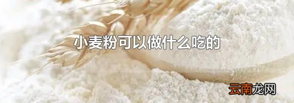 小麦粉可以做什么吃的