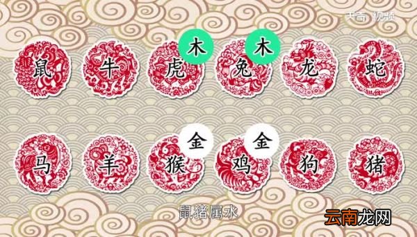 十二生肖五行对照表 十二生肖五行有什么关系
