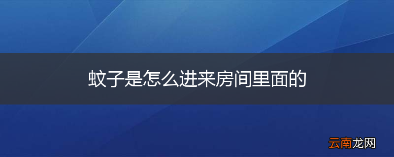 蚊子是怎么进来房间里面的