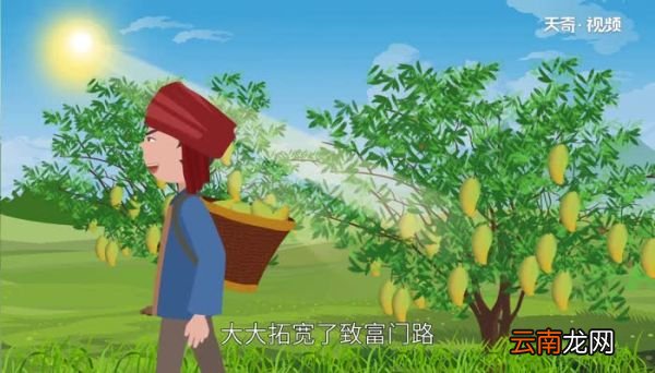 黎族主要分布在哪个省 黎族分布在哪个国家