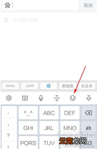 讯飞输入法表情符号怎么用?
