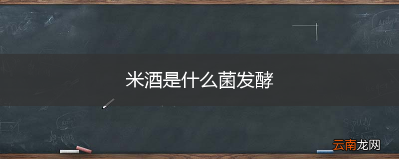 米酒是什么菌发酵