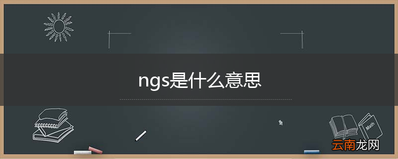 ngs是什么意思