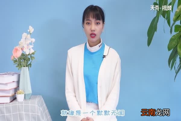 君子兰的养殖方法和注意事项 如何养殖君子兰花
