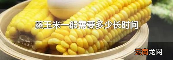 蒸玉米一般需要多少长时间