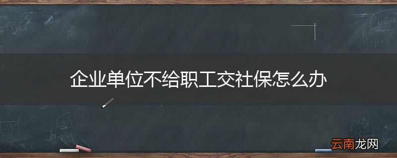 企业单位不给职工交社保怎么办
