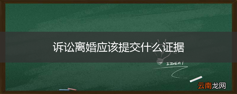 诉讼离婚应该提交什么证据
