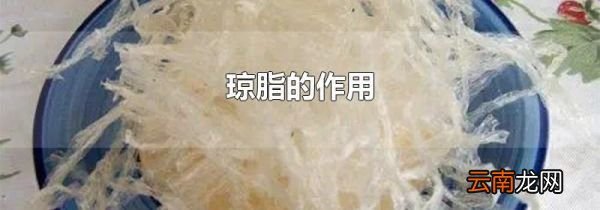 琼脂的作用