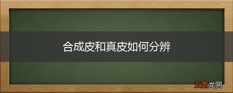 合成皮和真皮如何分辨