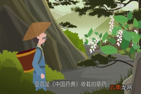 豆蔻年华是指多少岁多少岁是豆蔻年华