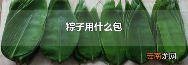 粽子用什么包