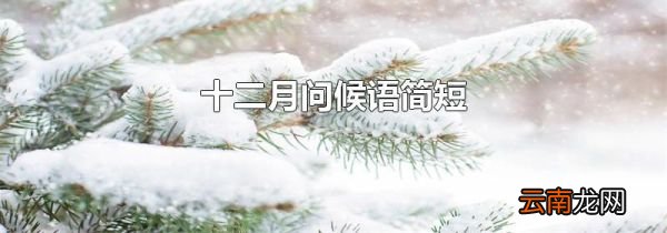 十二月问候语简短