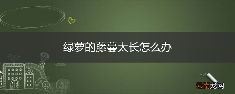 绿萝的藤蔓太长怎么办