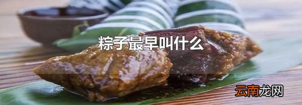粽子最早叫什么