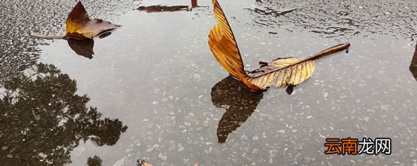 南京入梅时间 2019年南京什么时间出梅
