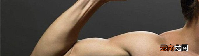 胳膊和大腿为什么不容易起包?